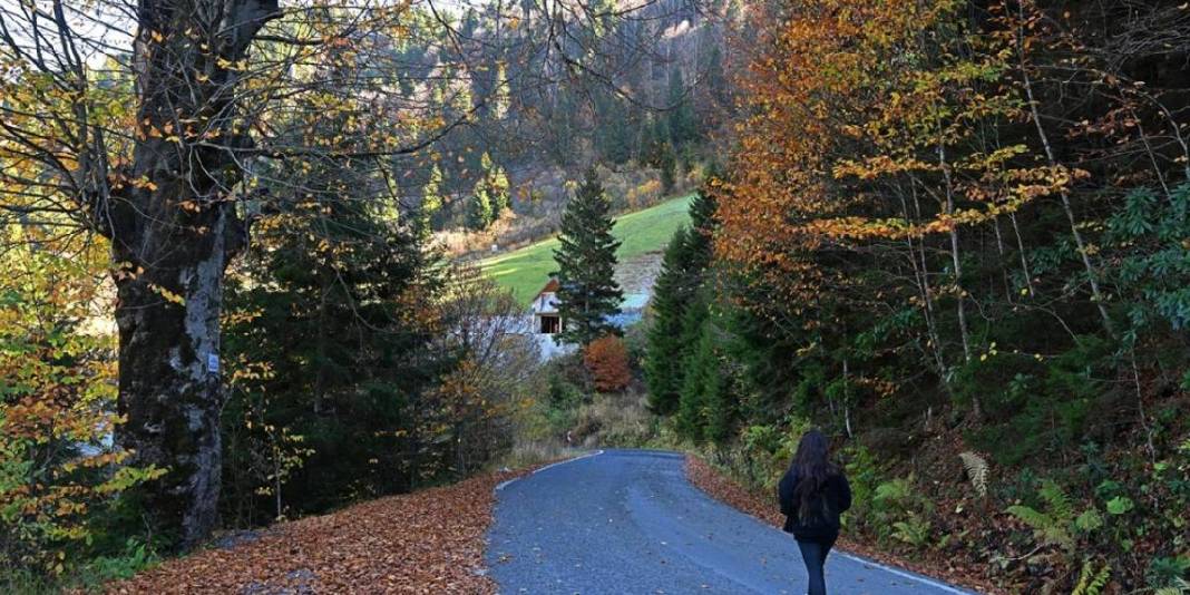 Zigana Dağı eteklerinde eşsiz bir adres! Doğa tutkunları buraya akın ediyor: Unutulmaz anlara hazır olun! 4